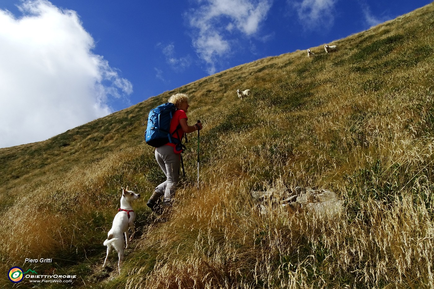 28 Saliamo alla sella del Monte di Sopra.JPG